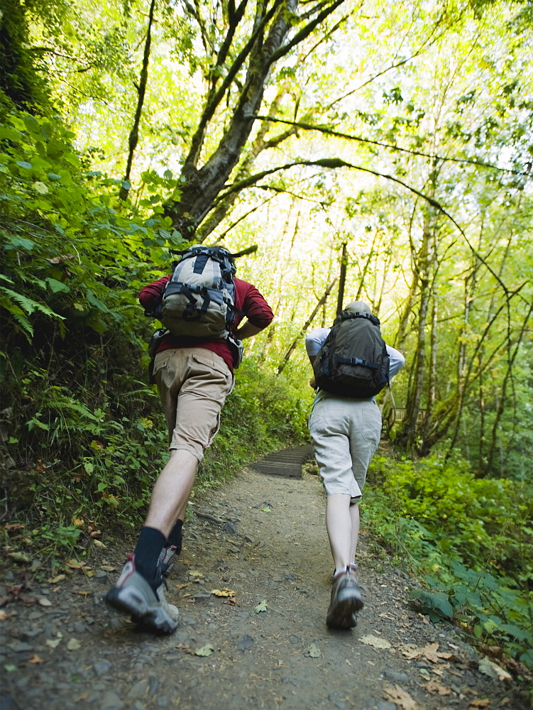 Hikers