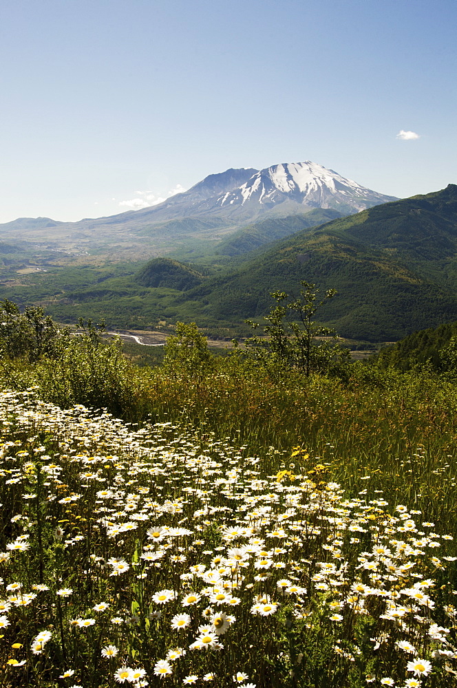 Mount St Helen's, Mount St Helen's, Washington, USA