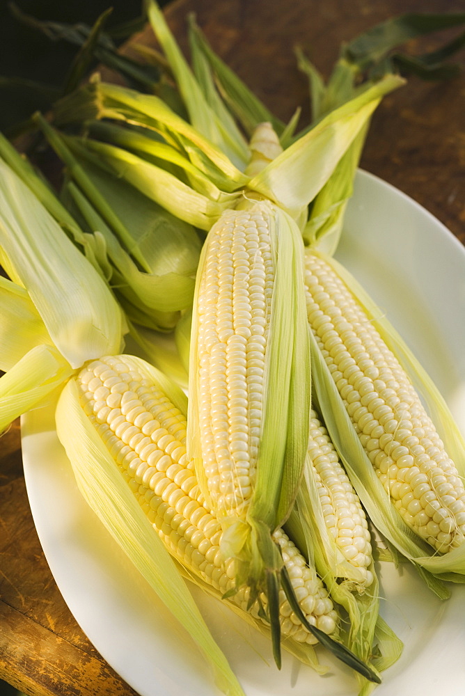 Corn on the cob on platter