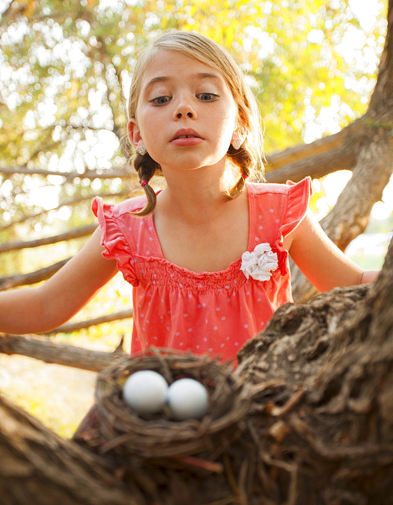 Little girl (6-7) looking at bird's nest, Lehi, Utah