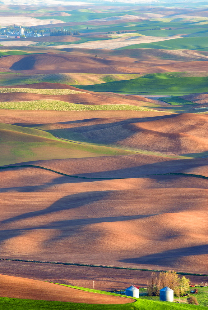 Farm on wheat field, Palouse, Washington