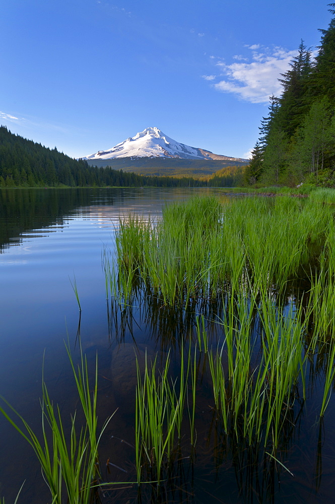 Mount Hood and Trillium Lake at sunset, Clackamas County, Oregon