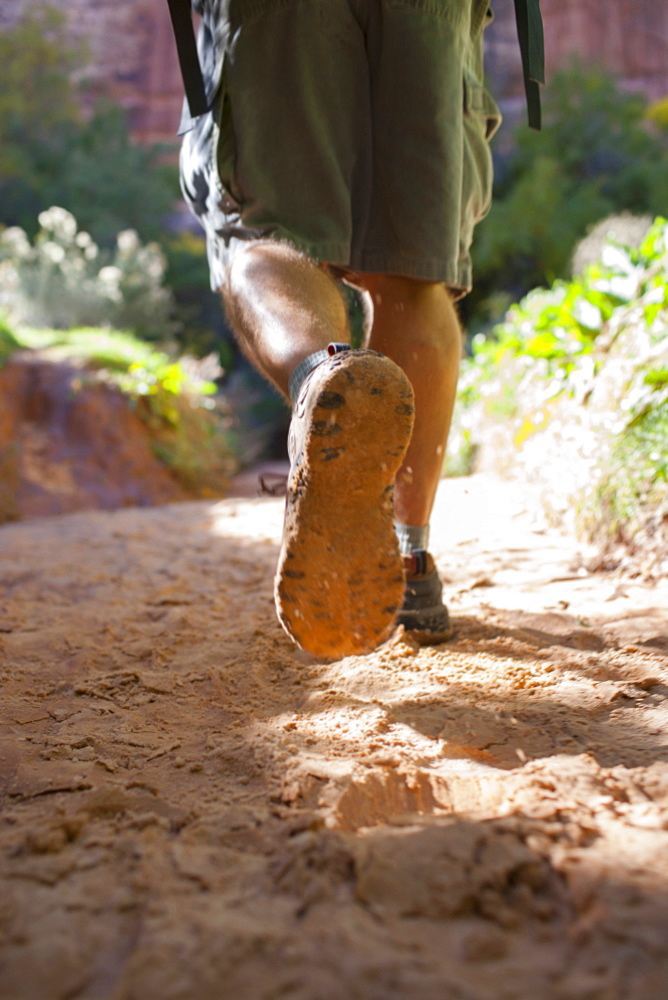 Man hiking in forest, Grand Gulch, Utah, USA