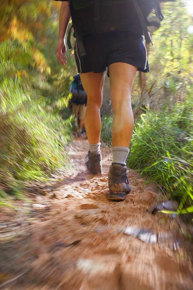 Woman hiking in forest, Grand Gulch, Utah, USA