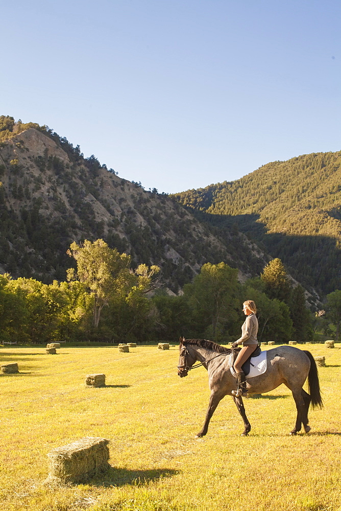 Woman horseback riding in field at sunset, Colorado