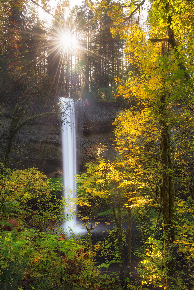 Scenic view of waterfall in autumn forest, Silver Falls, Oregon