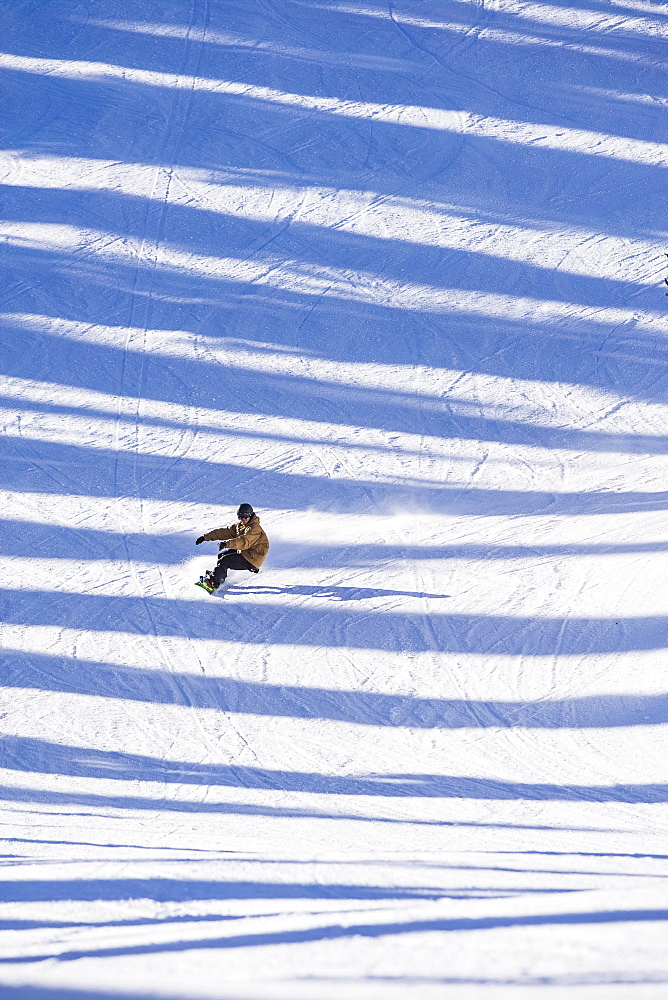 Man snowboarding across shadows, Whitefish, Montana, USA