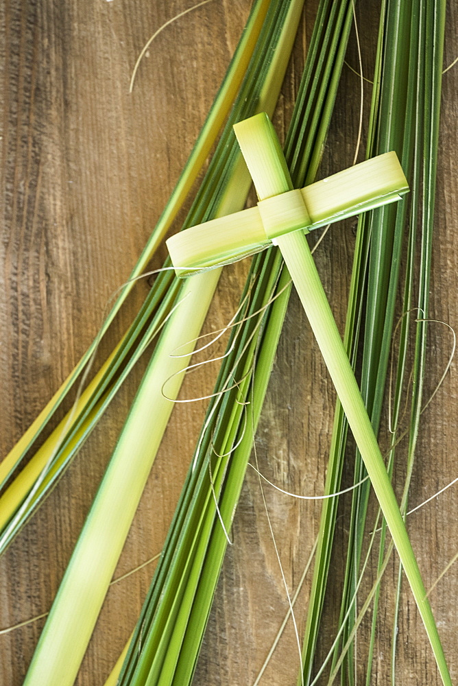 Palm leaves for palm sunday