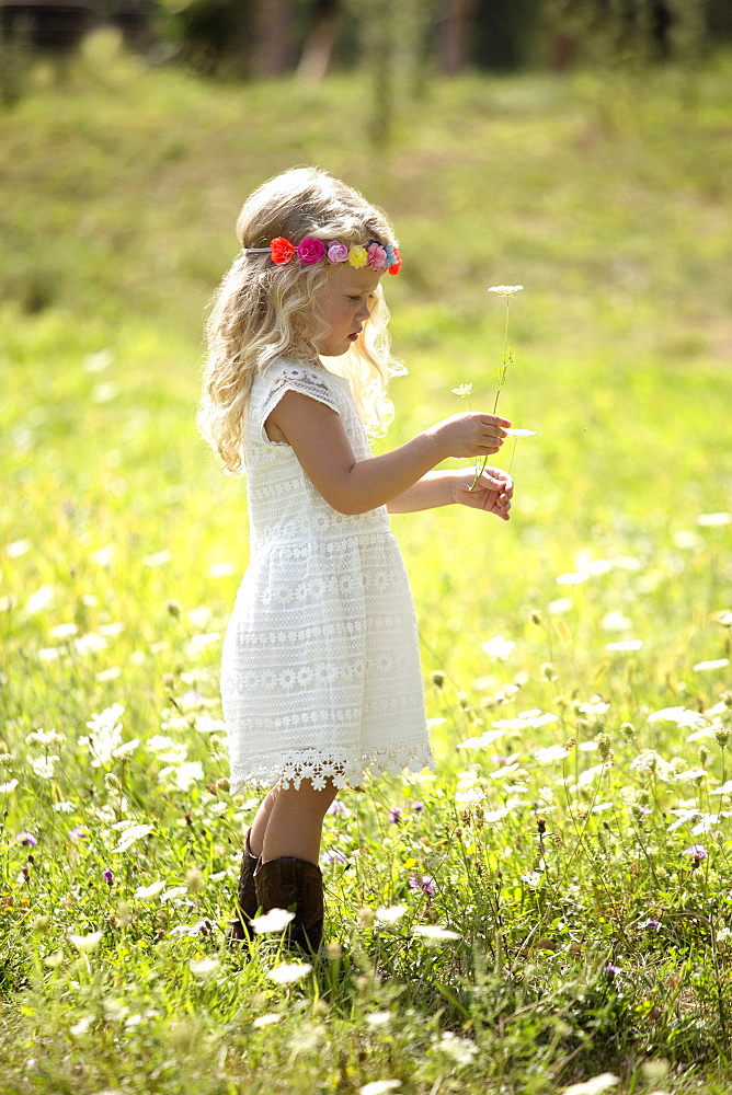 Cute girl (4-5) in white dress standing in meadow