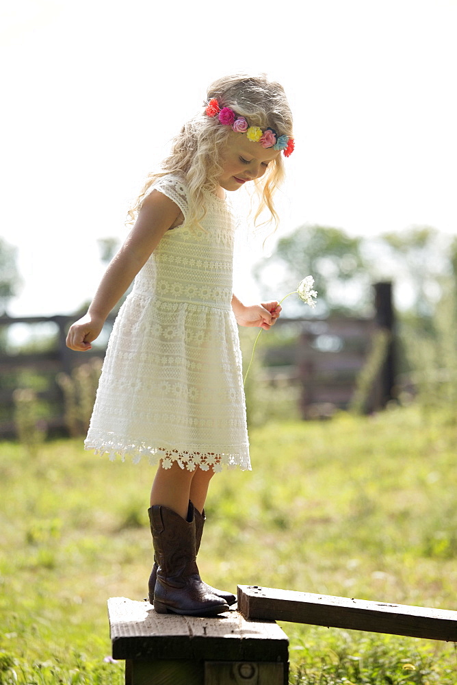 Cute girl (4-5) in white dress standing on fence in meadow, USA, New Jersey, Oldwick