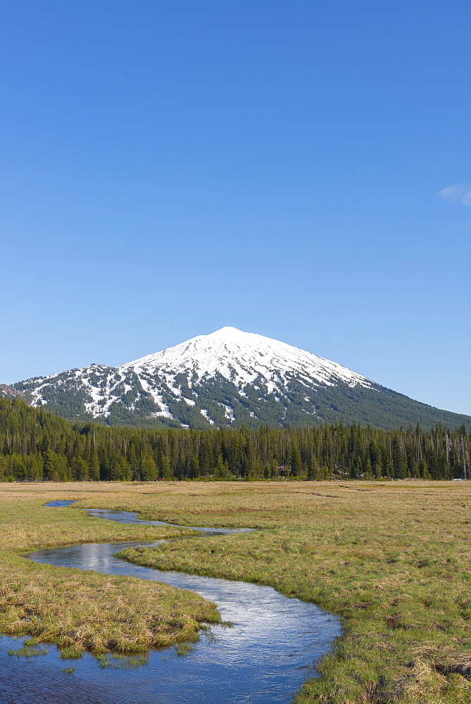 View of snowcapped Mount Bachelor, USA, Oregon, Mount Bachelor