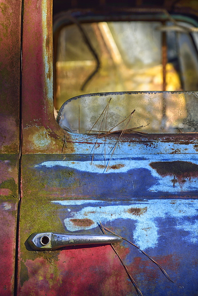 Colorful door of abandoned truck