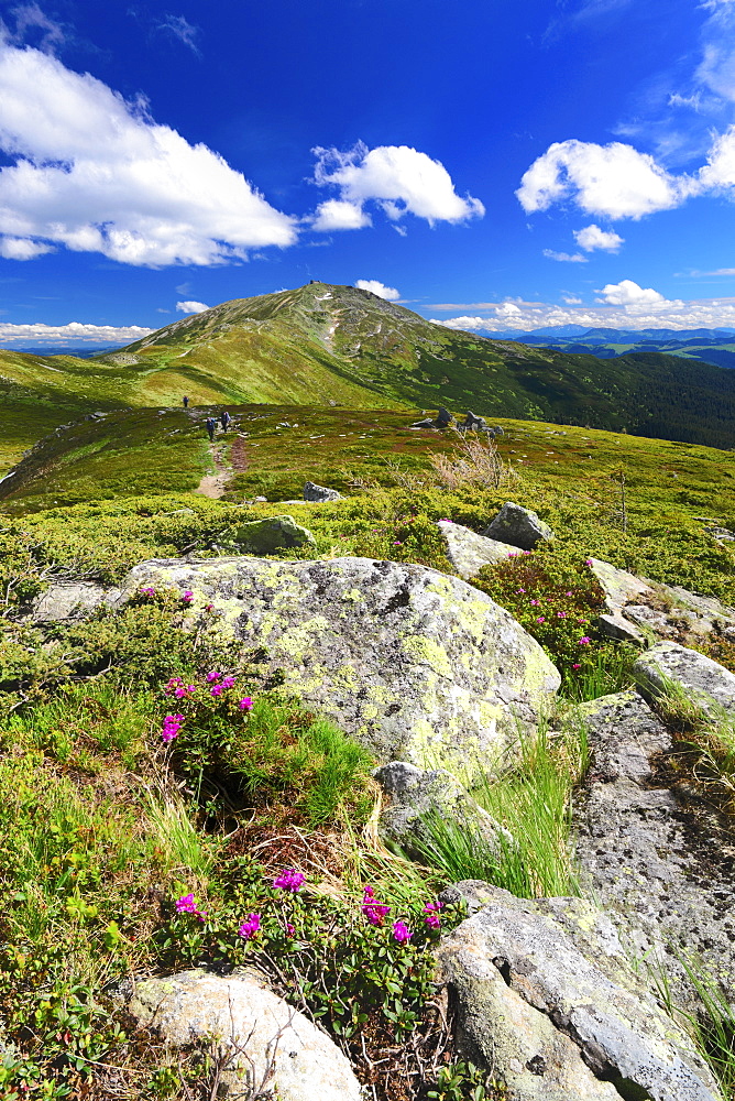 Ukraine, Ivano-Frankivsk region, Verkhovyna district, Carpathians, Chernohora, Mountain landscape on sunny day