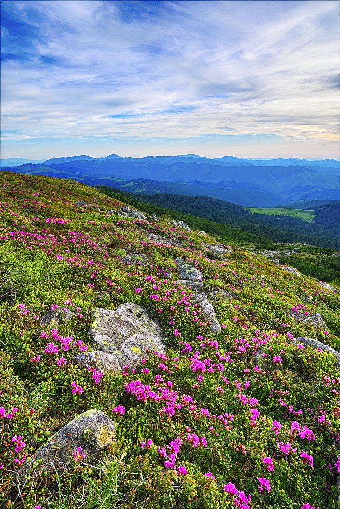 Ukraine, Ivano-Frankivsk region, Verkhovyna district, Carpathians, Chernohora, Mountain landscape on sunny day