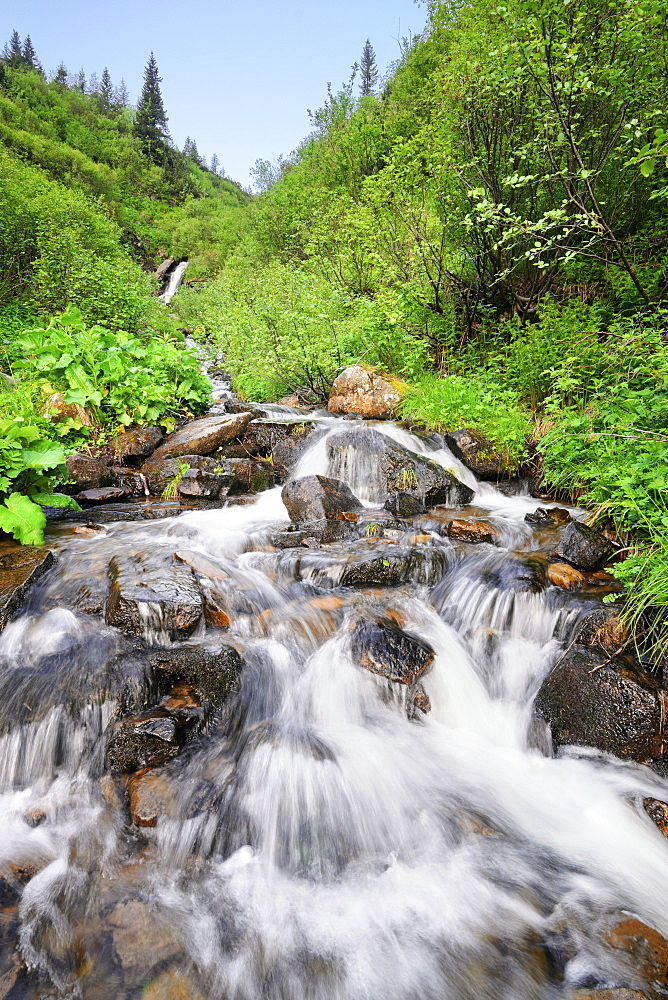 Ukraine, Ivano-Frankivsk region, Verkhovyna district, Carpathians, Dzembronskie waterfalls
