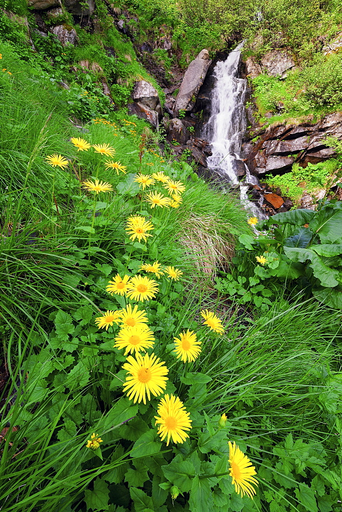 Ukraine, Ivano-Frankivsk region, Verkhovyna district, Carpathians, Dzembronskie waterfalls