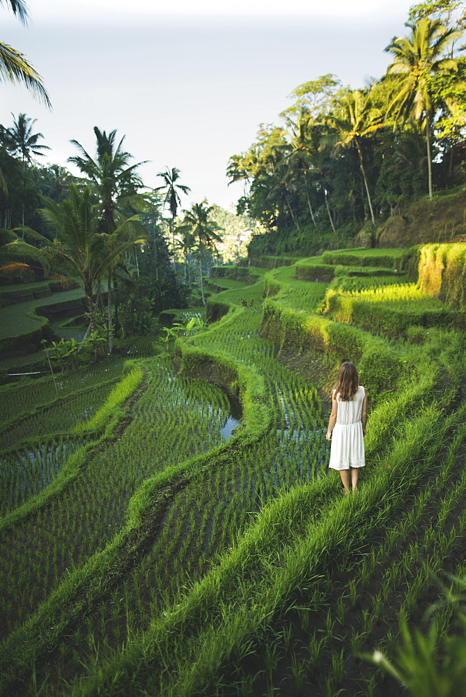 Woman wearing white dress on terraced rice paddies in Bali, Indonesia