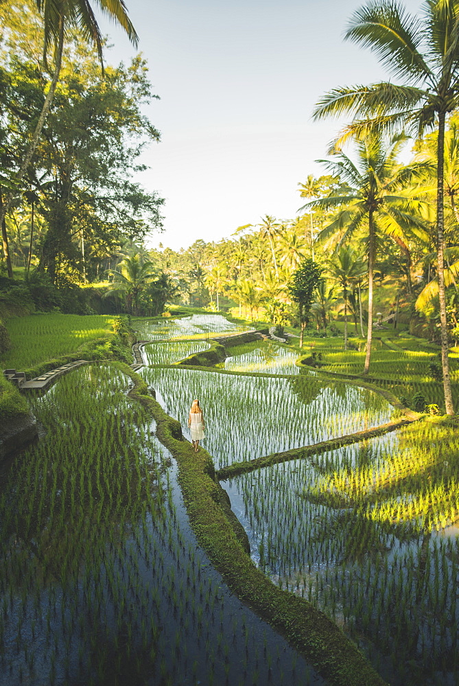 Woman on terraced rice paddies in Bali, Indonesia