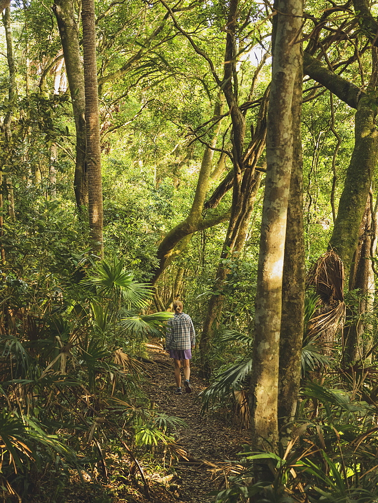 Woman walking in forest in Myall Lakes National Park, Australia