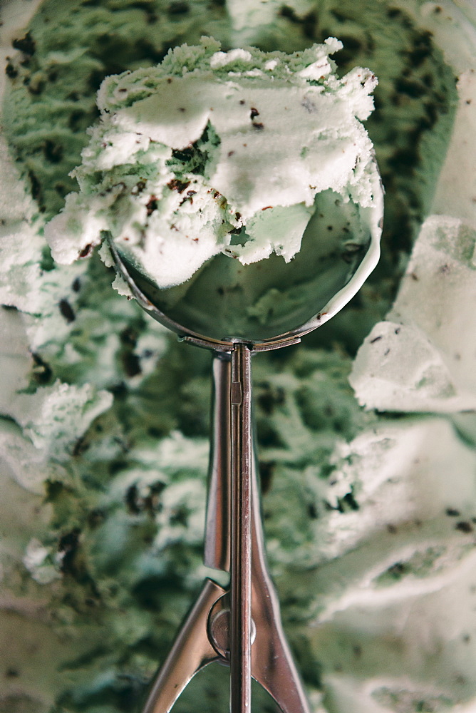 Scoop of mint chocolate chip ice cream