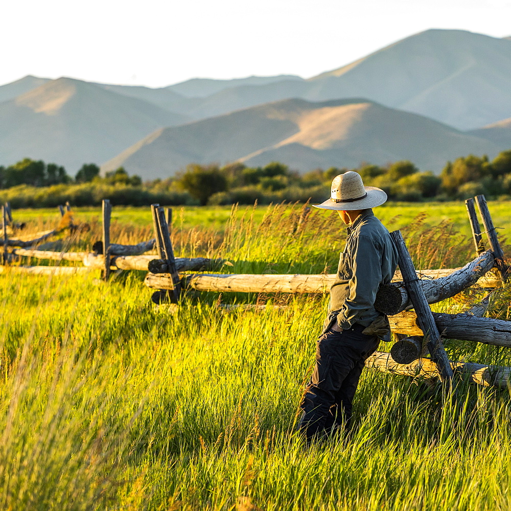 Farmer leaning on fence in Picabo, Idaho, USA