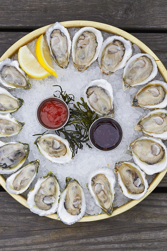 Oyster platter