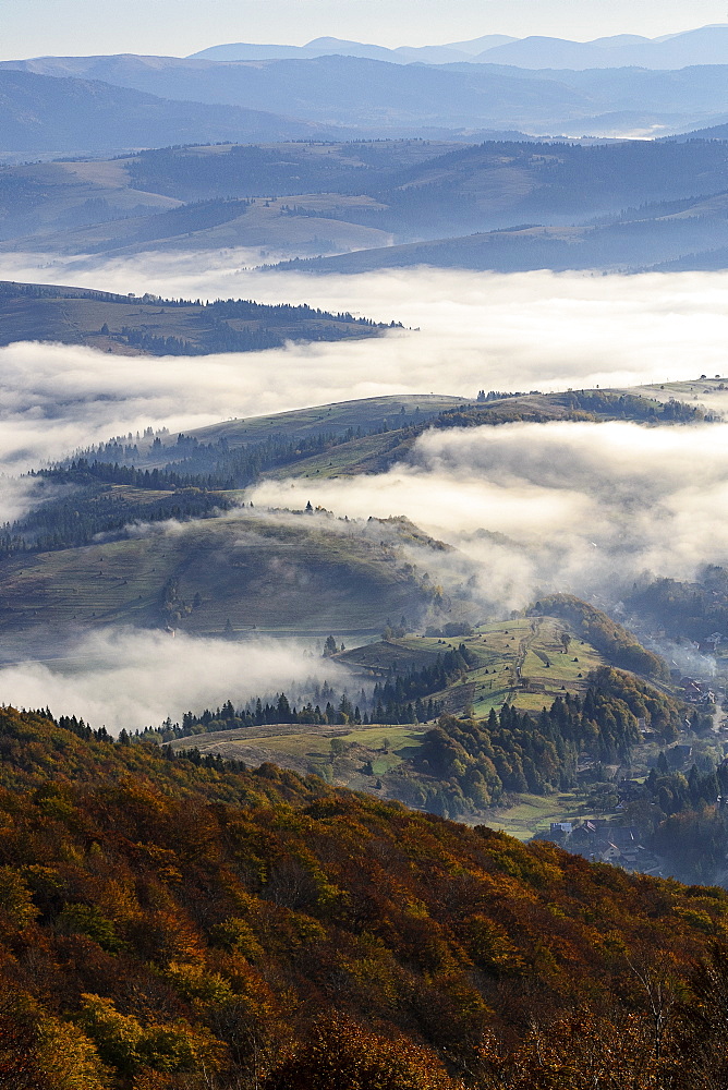 Ukraine, Zakarpattia region, Carpathians, Borzhava, Foggy hills of Carpathian Mountains at sunrise