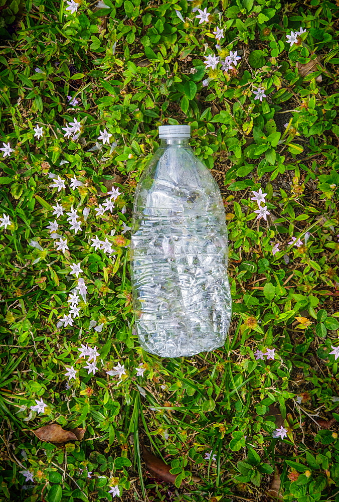 Plastic bottle on grass