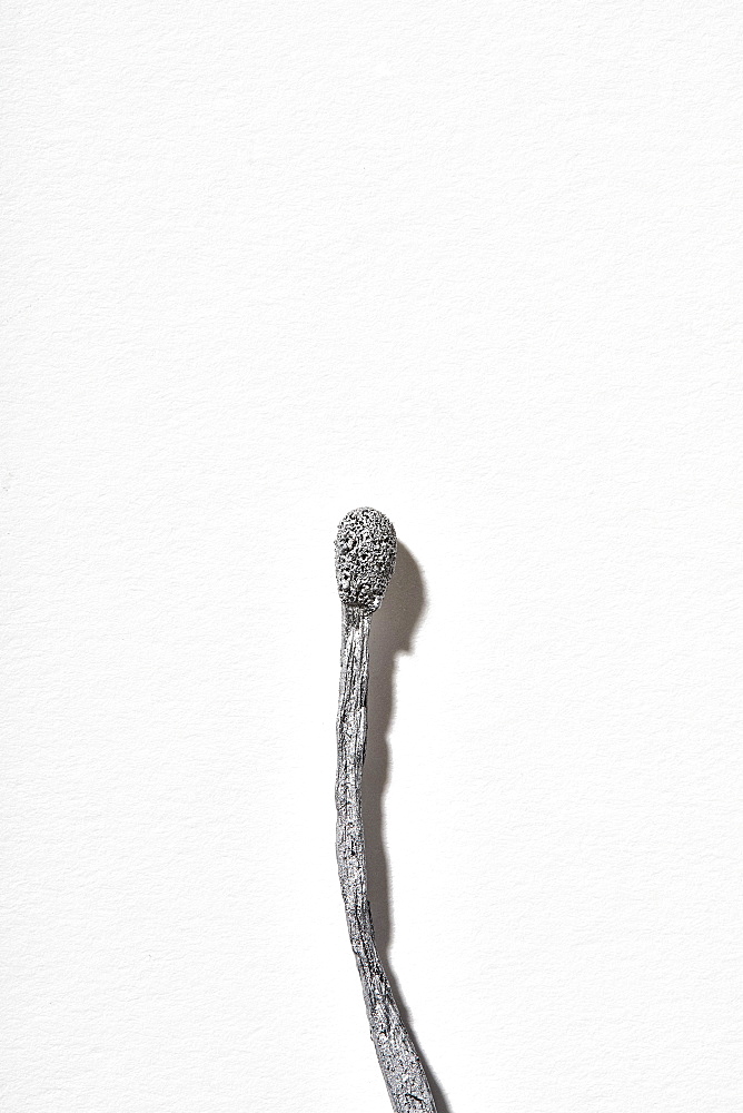 Burnt matchstick on white background