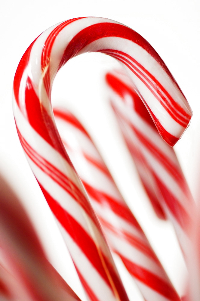 Closeup of candy canes