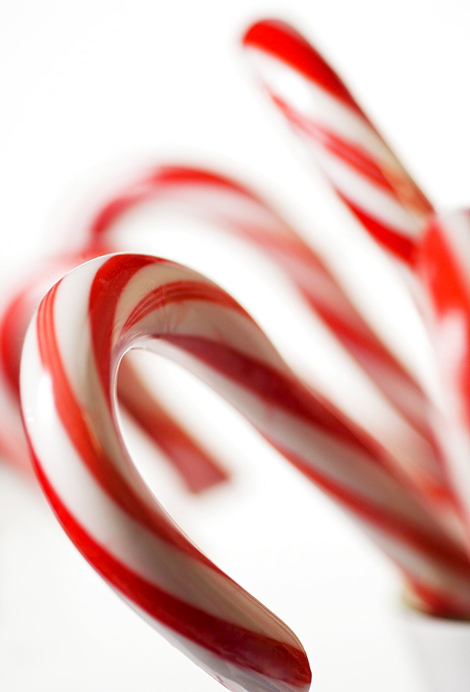 Closeup of candy canes