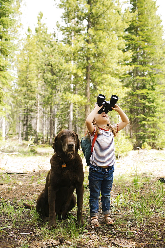 Girl (4-5) looking through binoculars in forest, chocolate Labrador sitting next to her, Wasatch-Cache National Forest