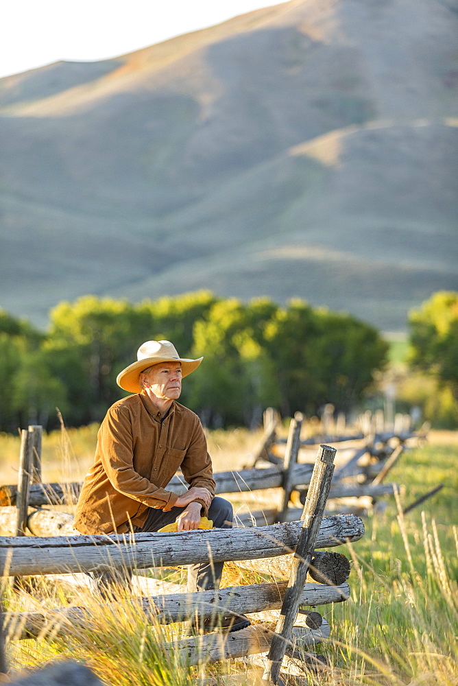 USA, Idaho, Bellevue, Rancher leaning against fence on field