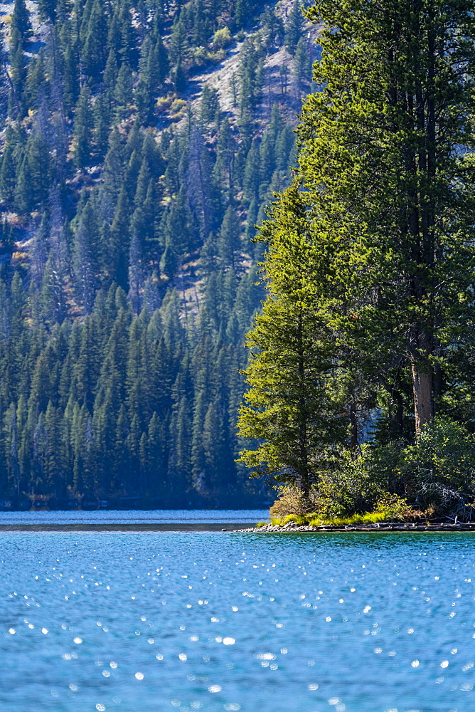 USA, Idaho, Stanley, Alpine lake and trees in Sawtooth Range