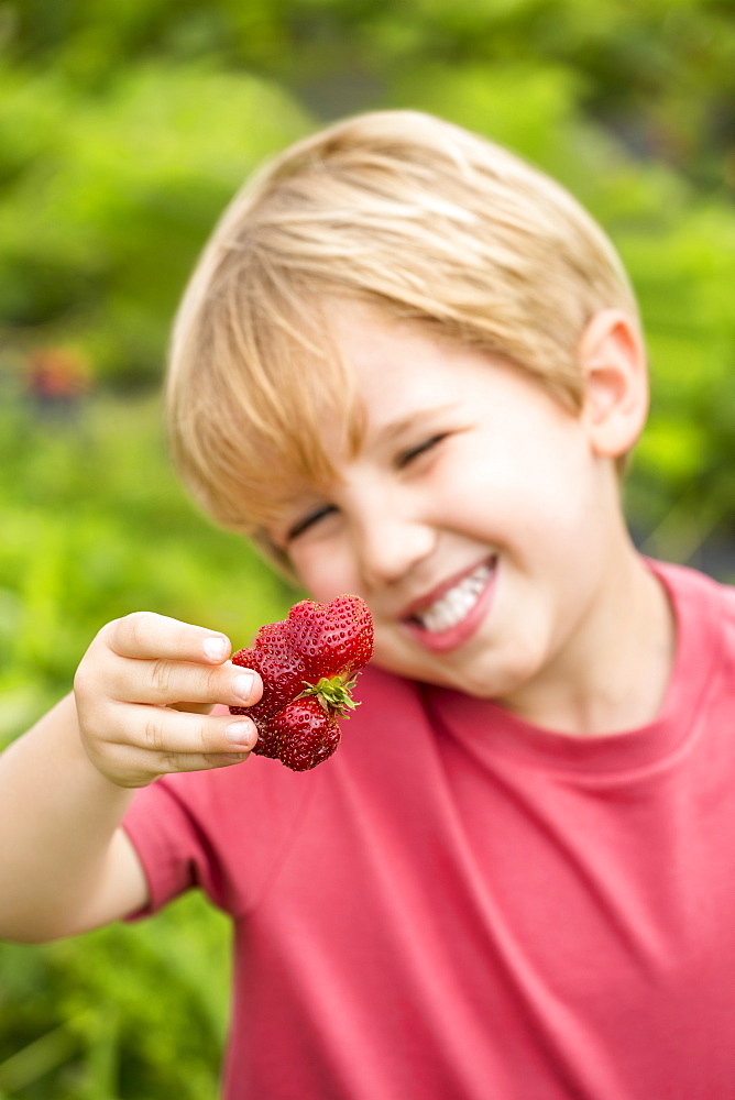 Portrait of young boy holding misshapen strawberry