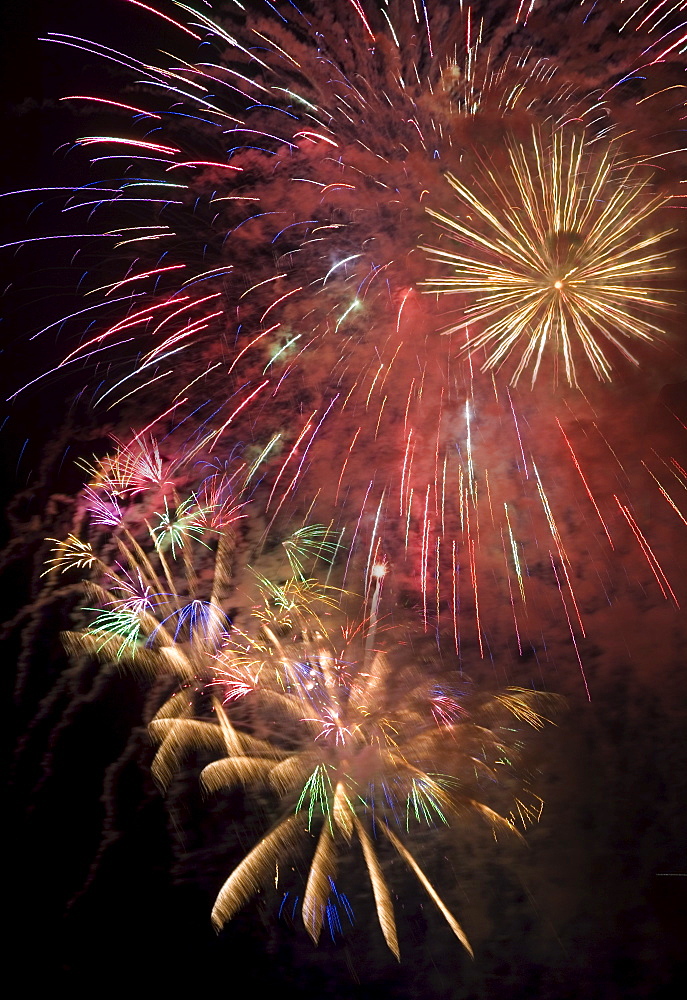 Fireworks in the night sky