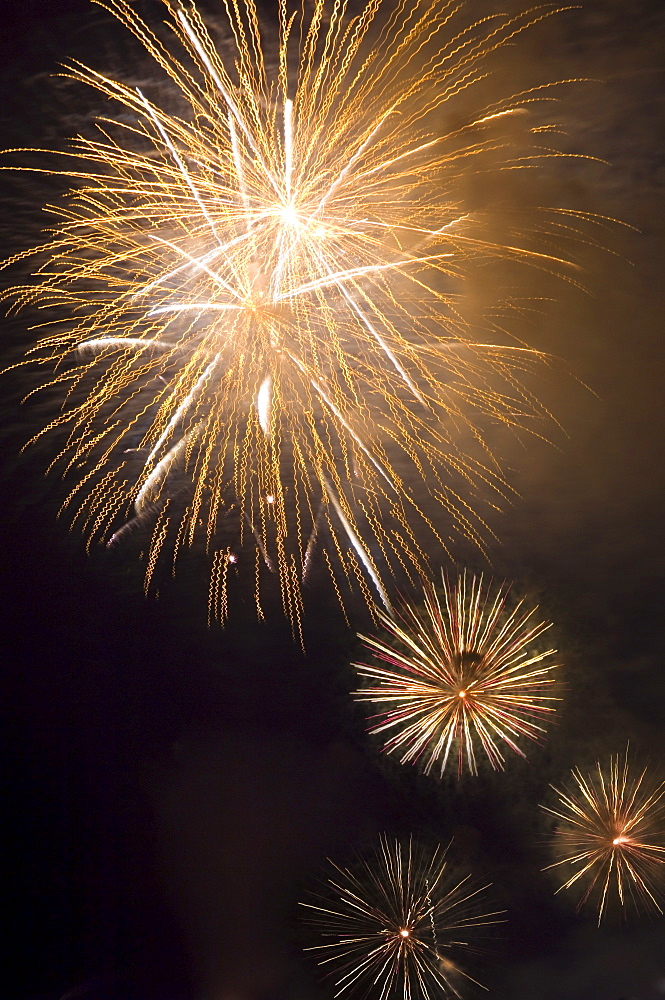 Fireworks in the night sky