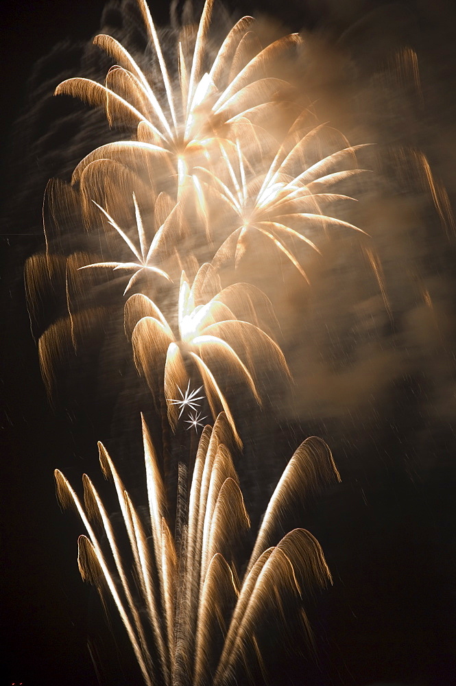 Fireworks in the night sky