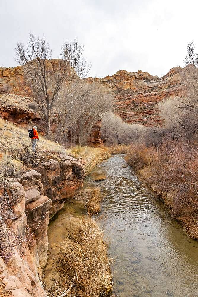 USA, Utah, Escalante, Woman hiking along Escalante River in Grand Staircase-Escalante National Monument