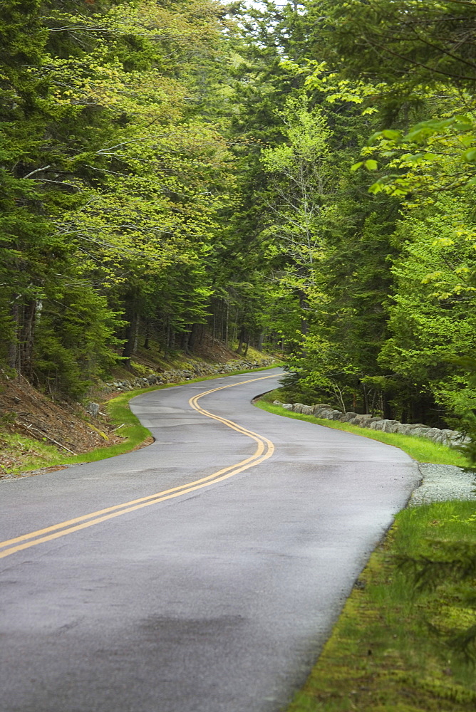 Country road in Maine