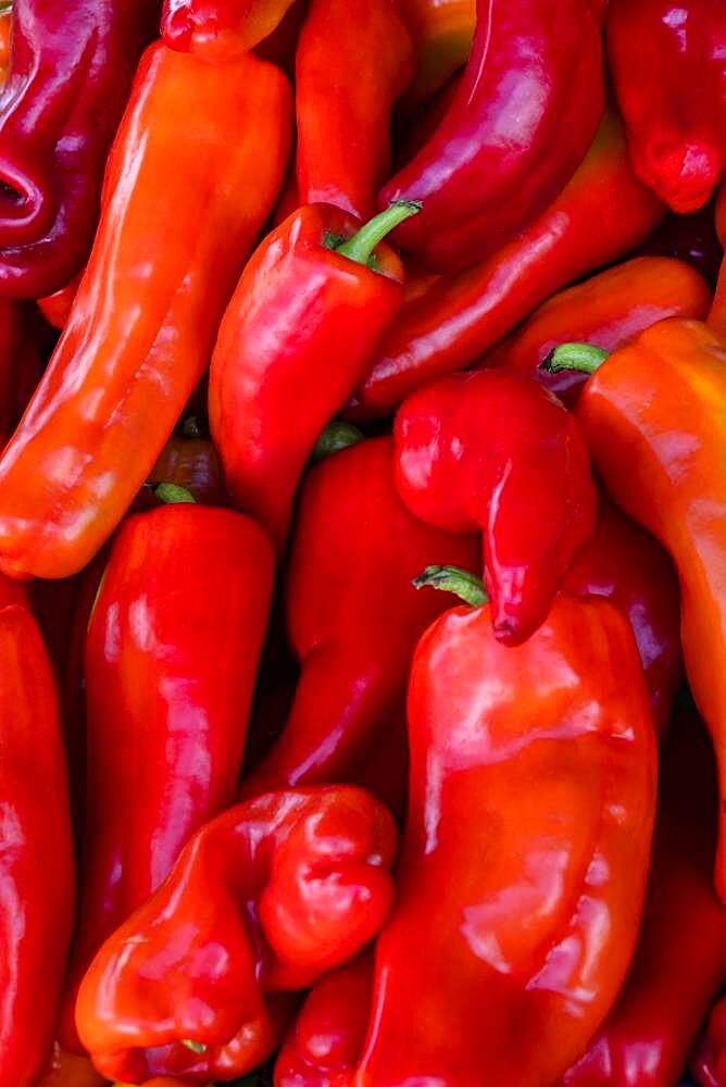 Overhead view of red Cuban peppers