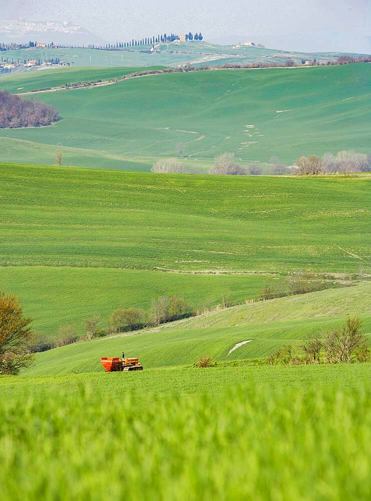 Italy, Tuscany, Val D'Orcia, Pienza, Combine harvester in green field