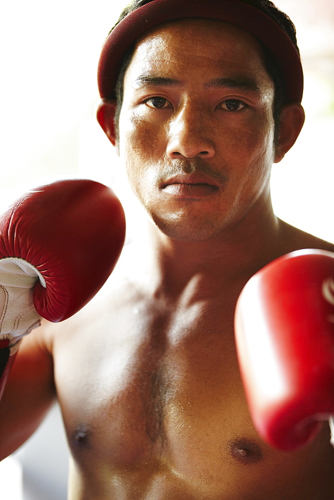 Portrait of mid adult male boxer in fighting stance