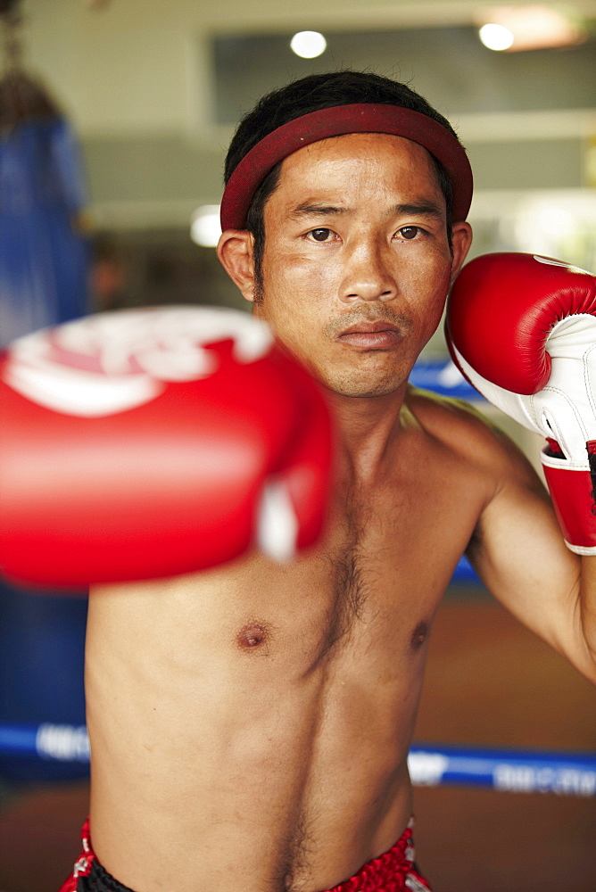 Portrait of mid adult male boxer in fighting stance