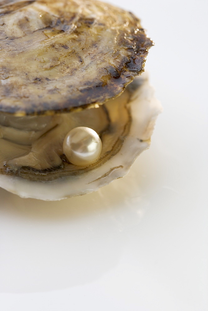 Open oyster shell with pearl