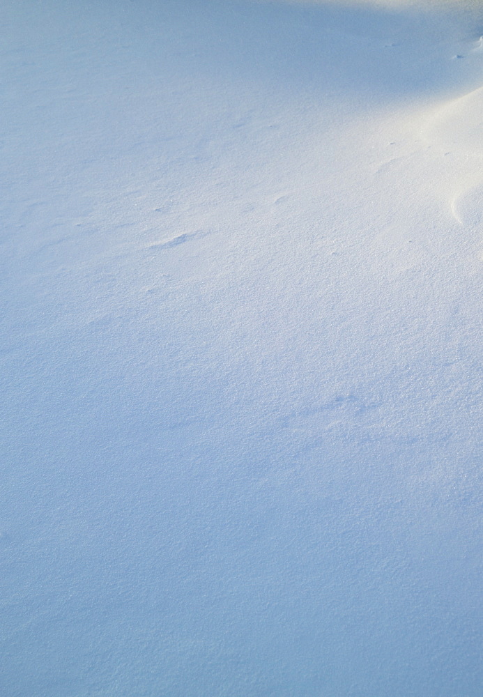 Closeup of fresh snow on ground