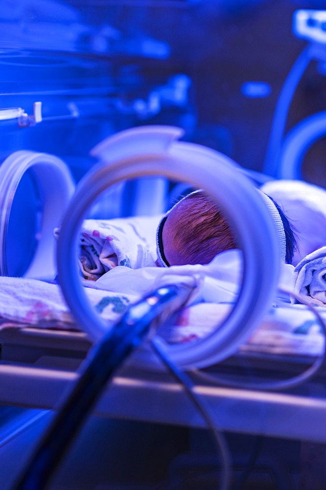 Newborn baby girl (0-1 months) in incubator