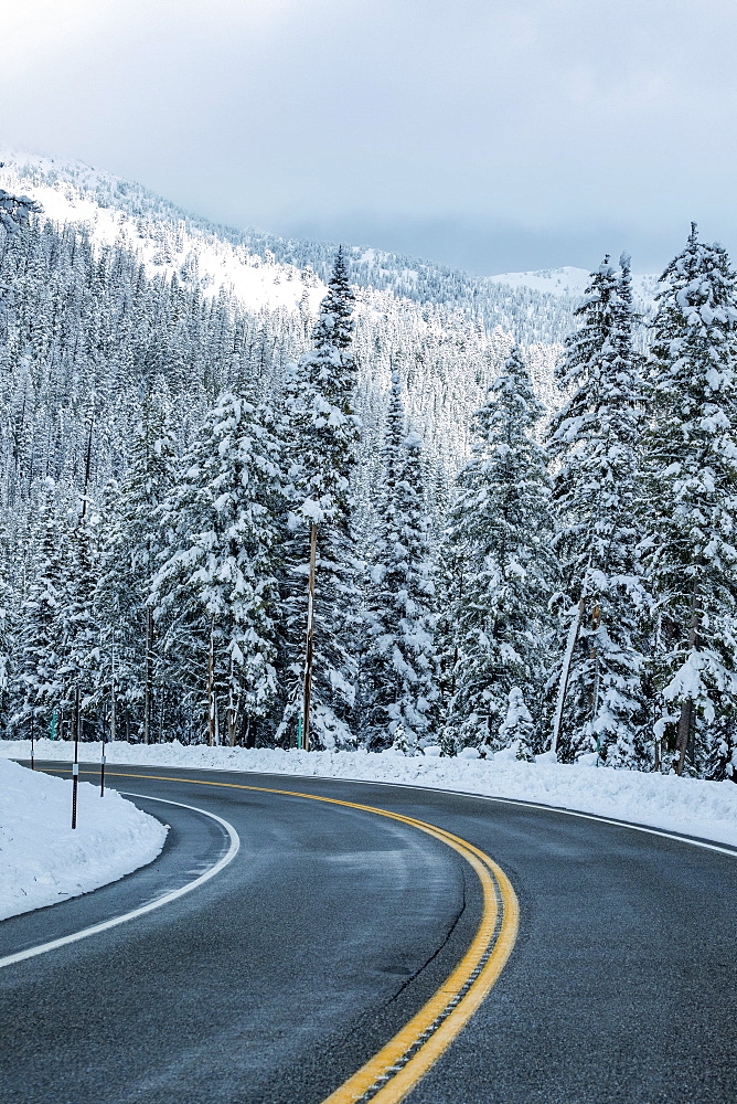 USA, Idaho, Ketchum, Road through winter forest