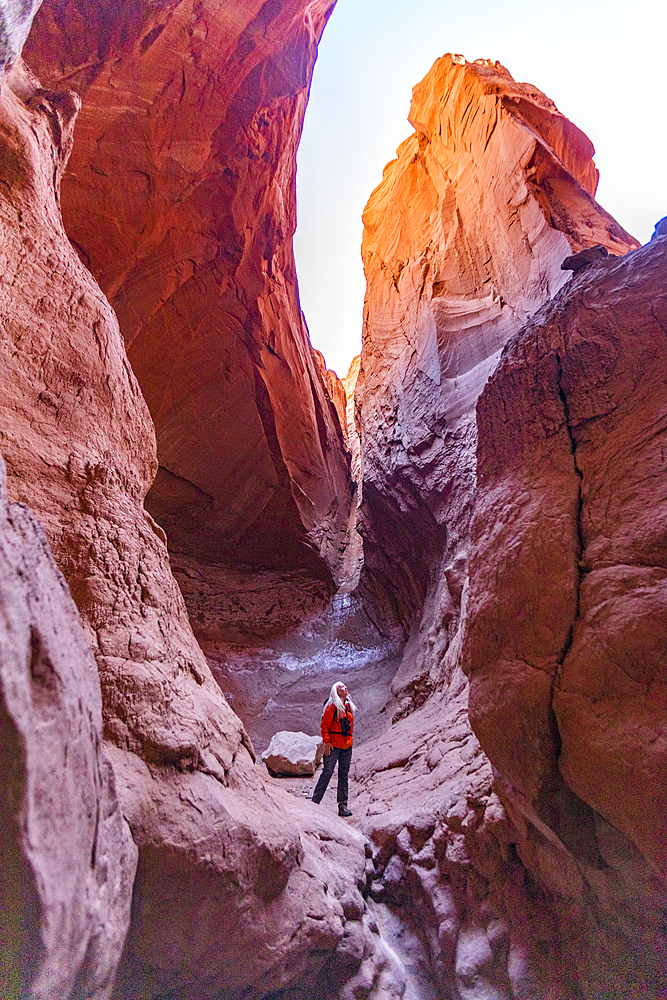 United States, Utah, Escalante, Senior female hiker standing in canyon