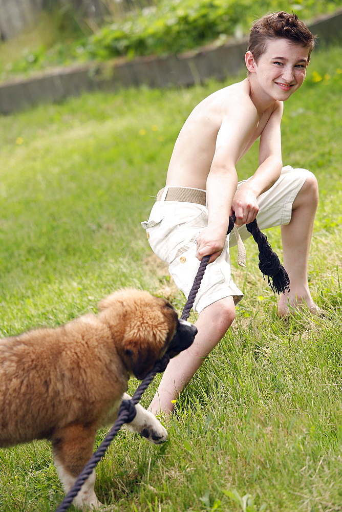 Boy (12-13) and his dog playing with rope, USA, New Jersey, Old Wick 